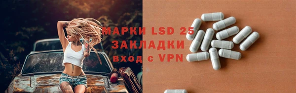индика Балабаново