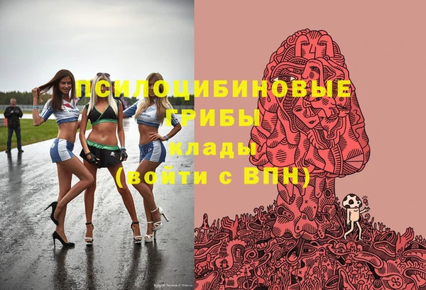 индика Балабаново