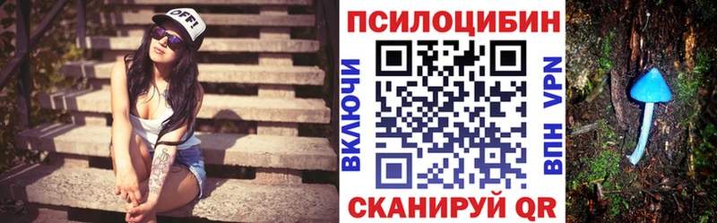 купить закладку  Чадан  ссылка на мегу как зайти  Галлюциногенные грибы MAGIC MUSHROOMS 