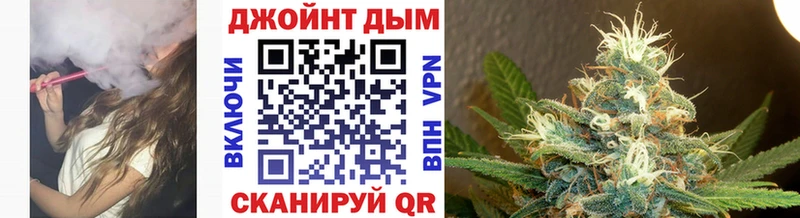 Каннабис планчик  Чадан 